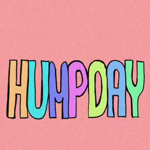 Hump Day Wednesday In Colors GIF