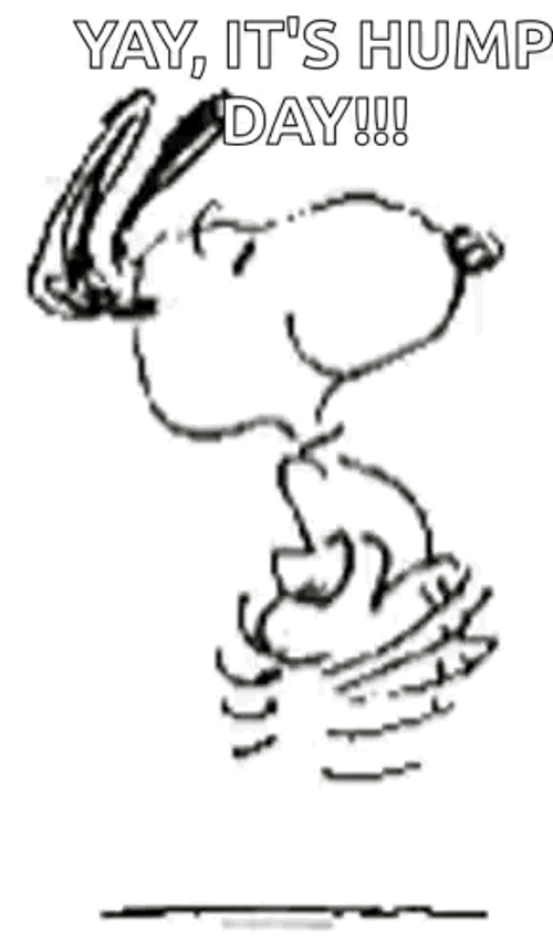 Hump Day Wednesday Jumping Snoopy GIF