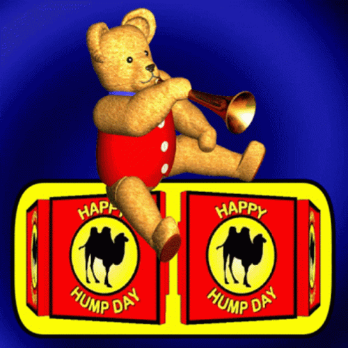 Hump Day Wednesday Teddy Bear Playing Trumpet GIF