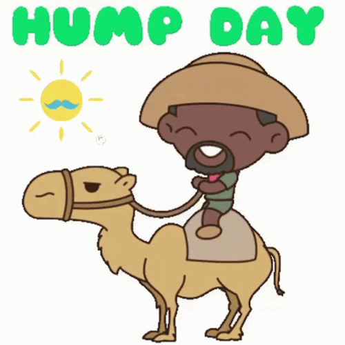 Hump Day Wednesday Very Sunny GIF