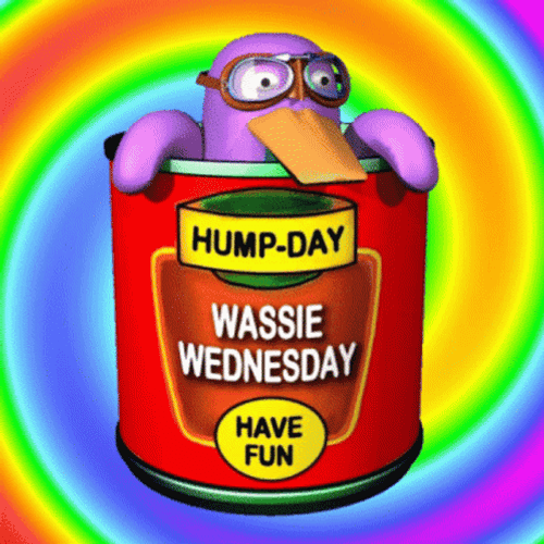Hump Day Wednesday Violet Penguin GIF
