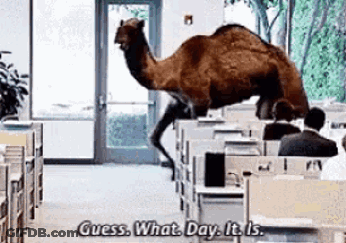 Humpday Guesswhatday GIF
