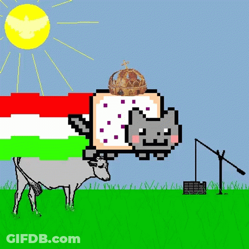 Hungary Crown Nyan Cat GIF