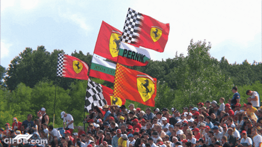 Hungary F1 Crowd GIF