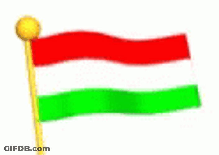 Hungary Flag Cartoon GIF