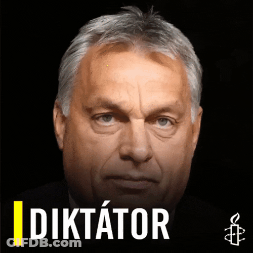 Hungary Prime Minister Orban GIF