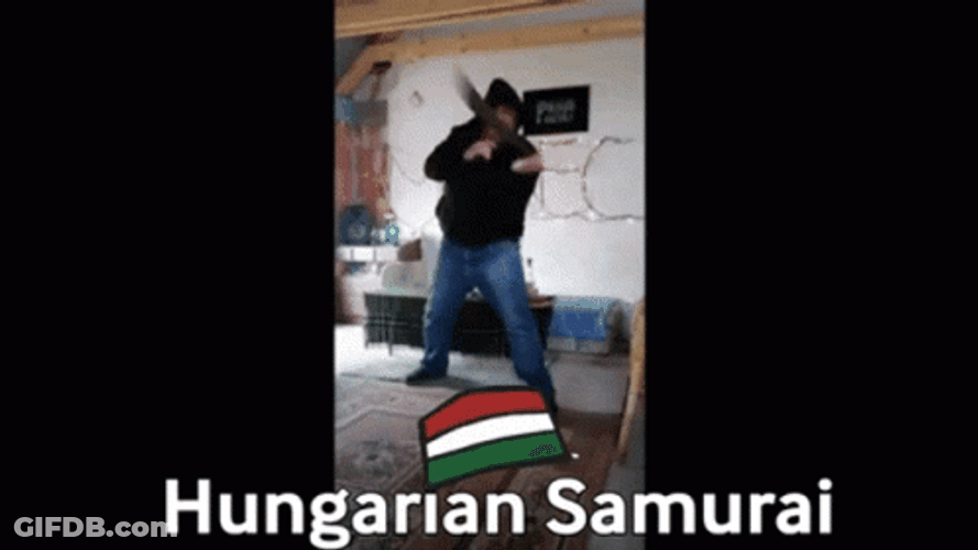 Hungary Samurai GIF