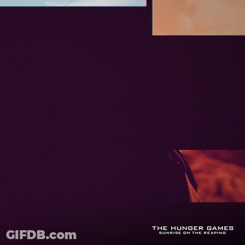 Hunger Games Poster Woman GIF