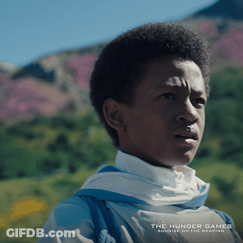 Hunger Games Poster Young Boy GIF