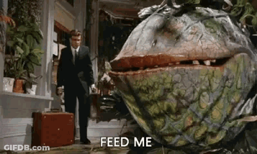 Hunger Hungry GIF
