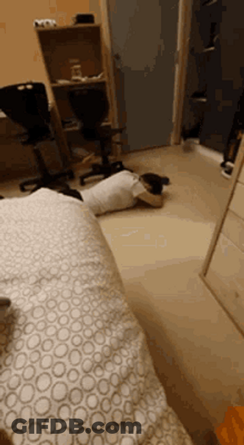 Hungover Drunk Guy Floor Crawling GIF