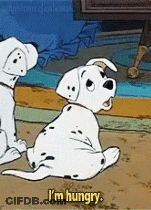 Hungry Dalmatian Feed Me GIF