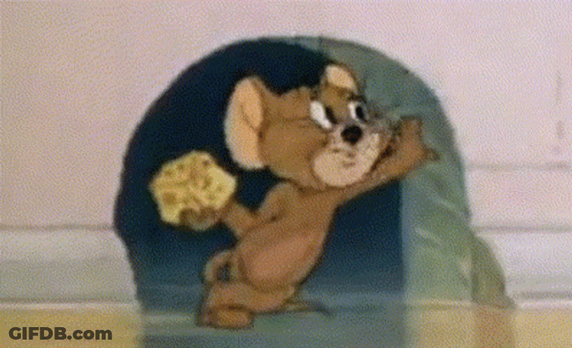 Hungry Jerry The Mouse Eating Cheese GIF