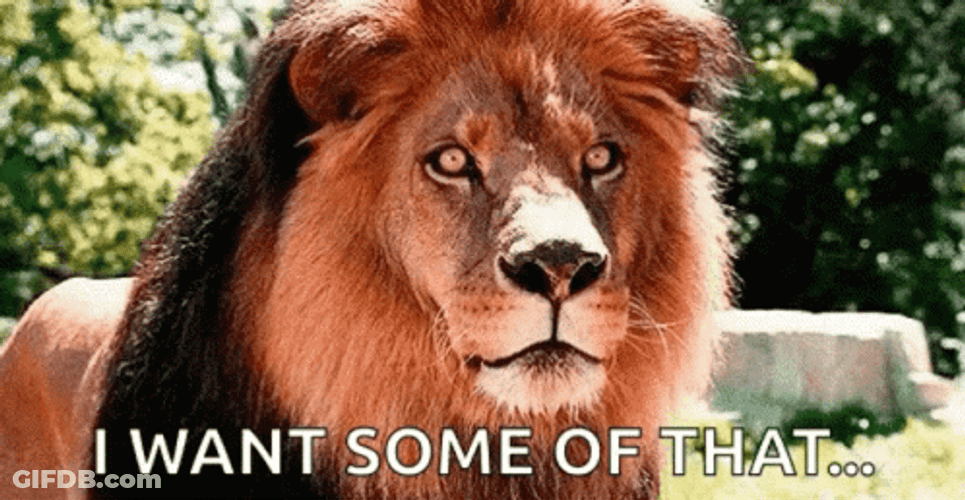 Hungry Lion Meme GIF