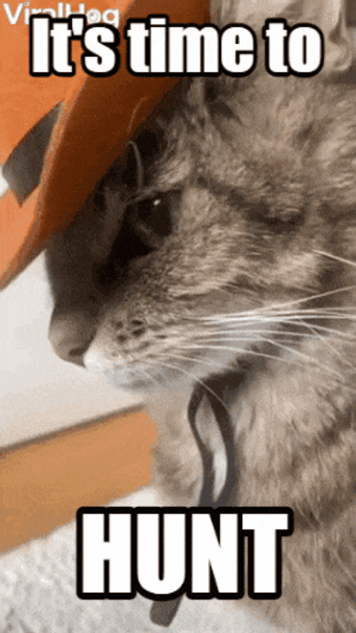 Hunt Hunt Showdown GIF