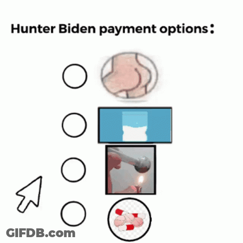 Hunter Biden Payment Options Including Lighter GIF