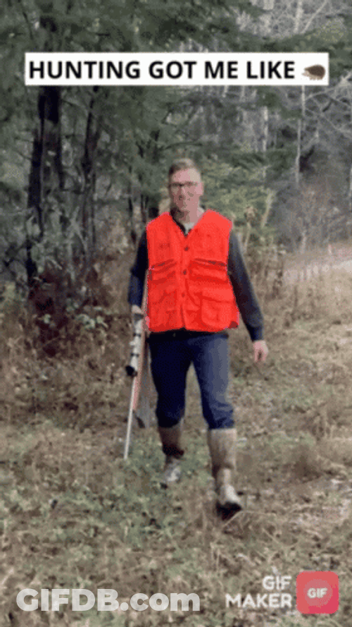 Hunter Comments Hunting Got Me Like GIF