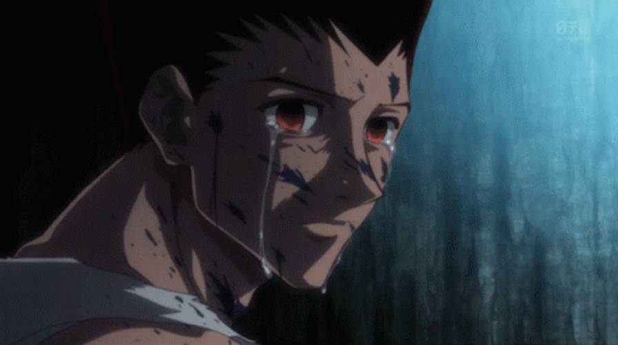 Hunter X Hunter Crying Gon Freecss GIF