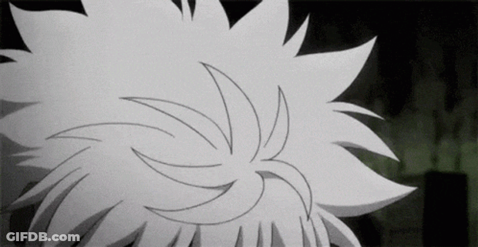 Hunter X Hunter GIF
