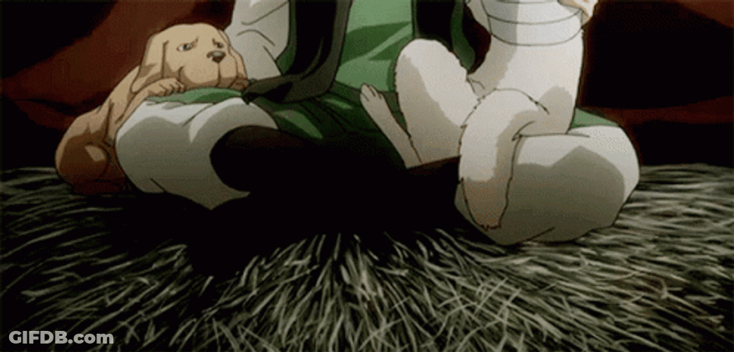 Hunter X Hunter Ging Freecss GIF