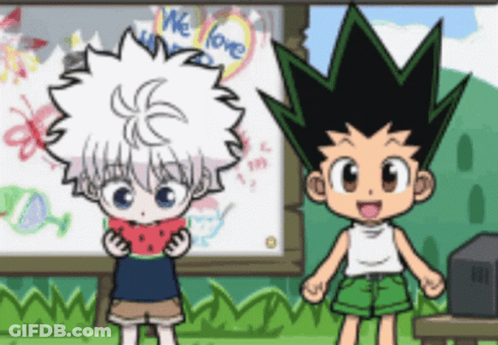 Hunter X Hunter Gon Freecss And Killua Zoldyck GIF