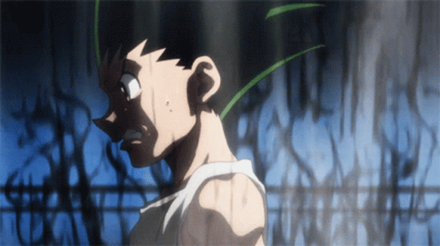 Hunter X Hunter Gon Rage GIF