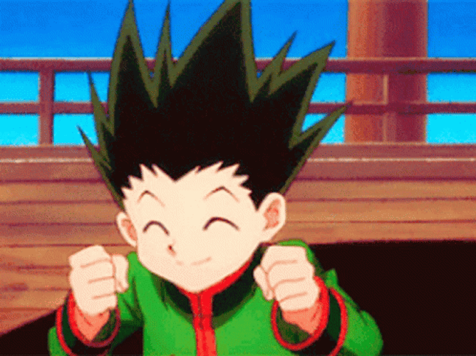 Hunter X Hunter Hell Yeah Gon GIF