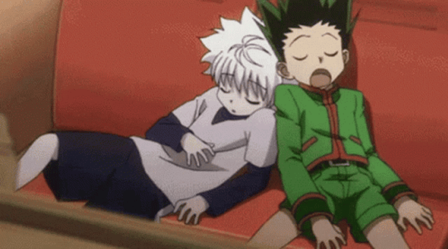Hunter X Hunter Killua Gon Sleeping GIF