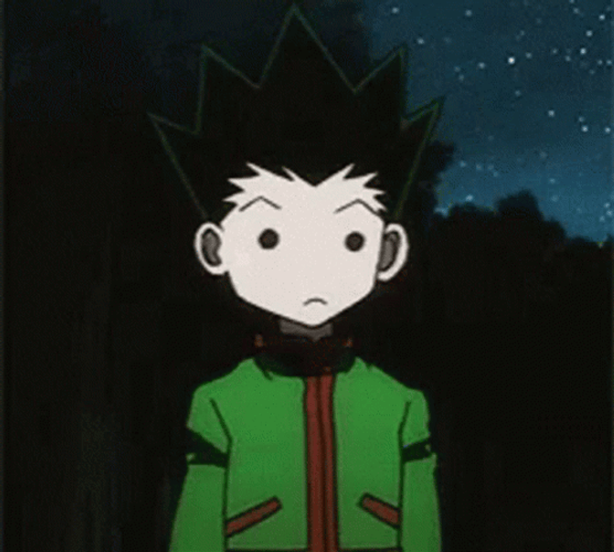 Hunter X Hunter Moody Gon GIF