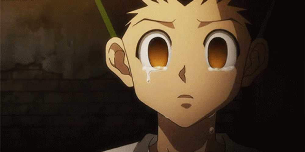 Hunter X Hunter Sad Gon GIF