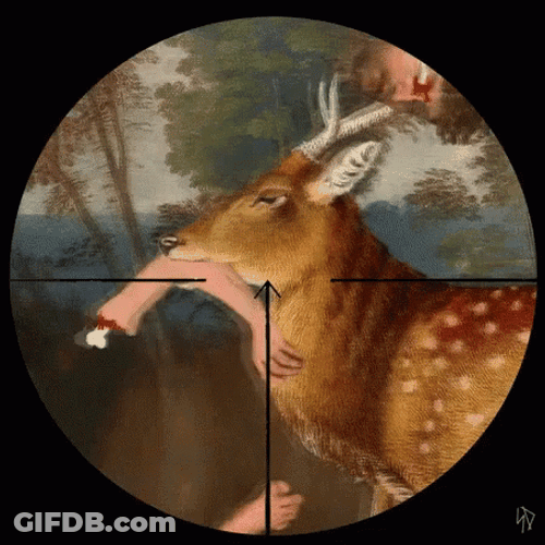 Hunting For Deer Lady Shocked GIF