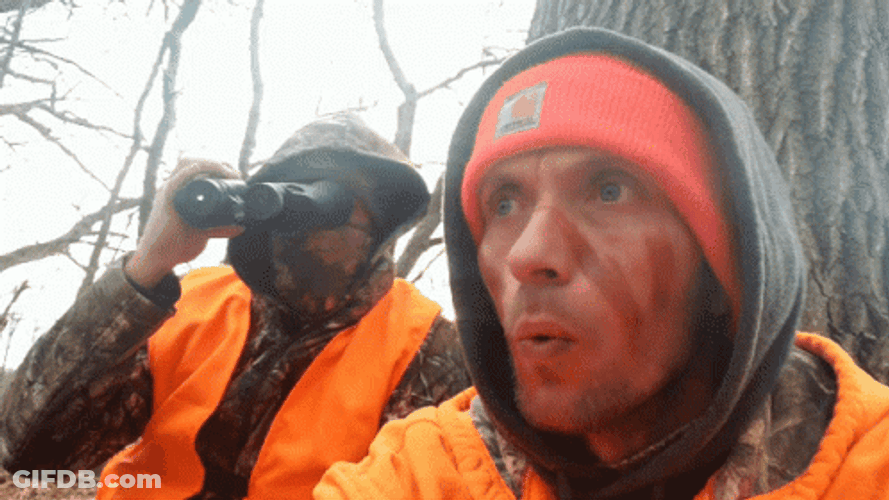 Hunting Partners Waiting For Preys GIF
