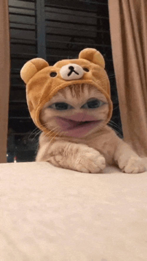 Huong Meme GIF