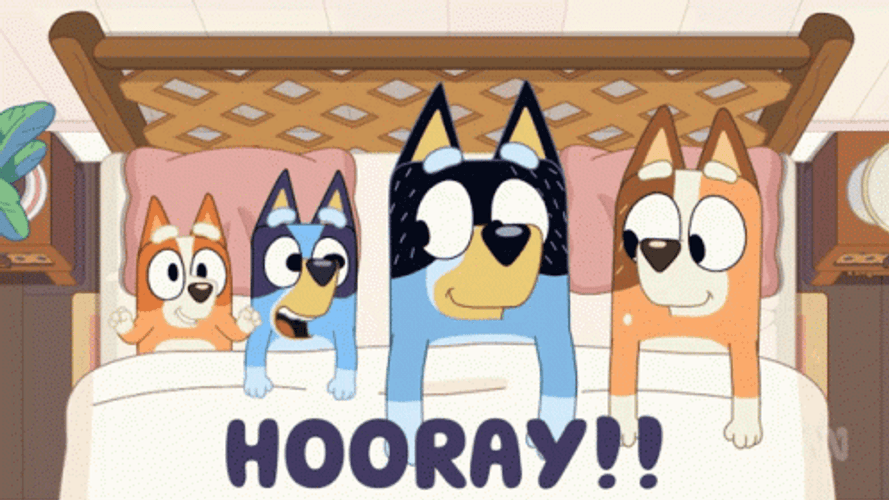 Hurray Hooray Bluey Dogs Cute GIF