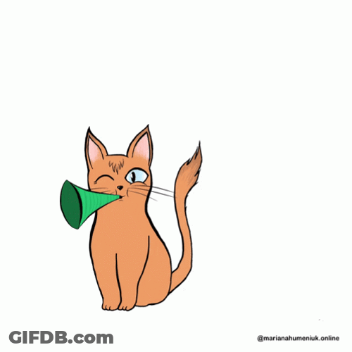 Hurray Hooray Cat Celebration Party GIF