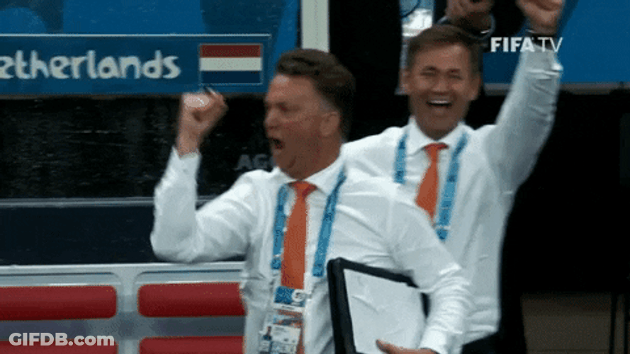 Hurray Oh Yes FIFA Football GIF