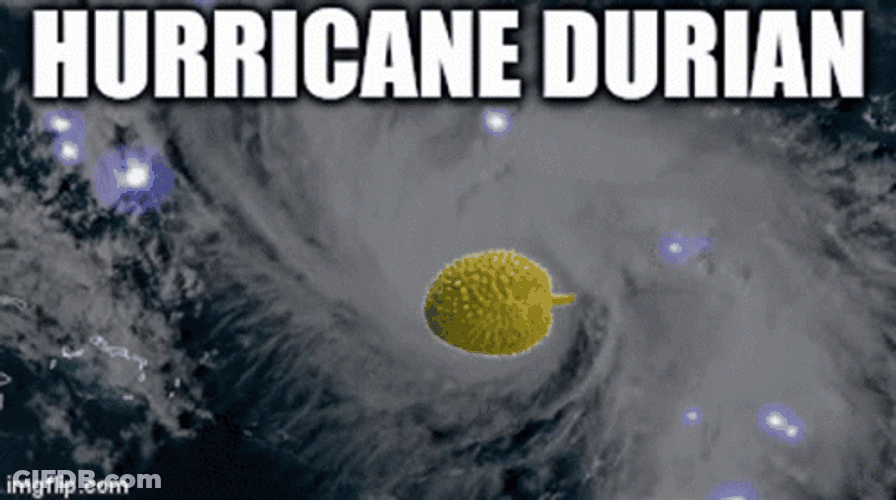 Hurricane Durian Hurricane Meme GIF