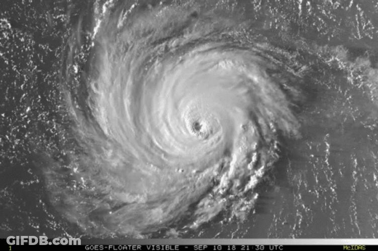 Hurricane Florence Doppler GIF