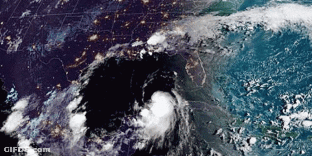 Hurricane Laura Forecast GIF
