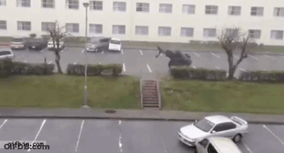 Hurricane Took The Cars Out GIF