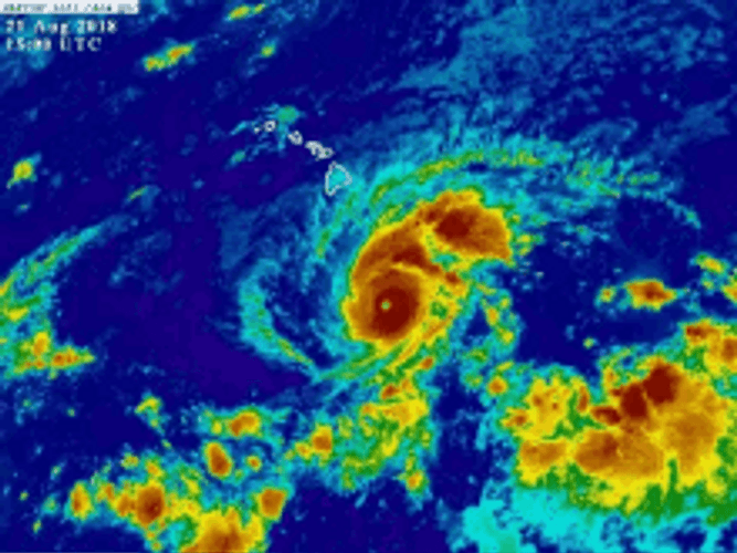 Hurricane Weather Forecast GIF