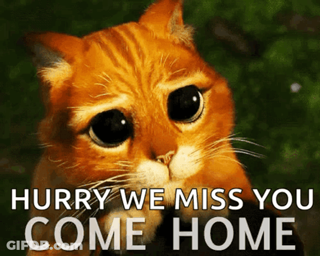 Hurry We Miss You Coming Home GIF