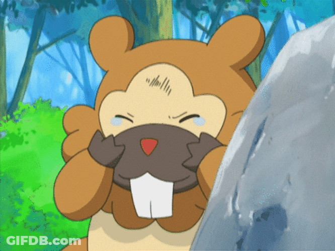 Hurt Crying Bidoof Pokemon Anime GIF