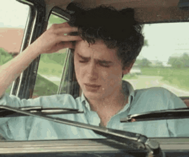 Hurt Crying Timothée Chalamet GIF