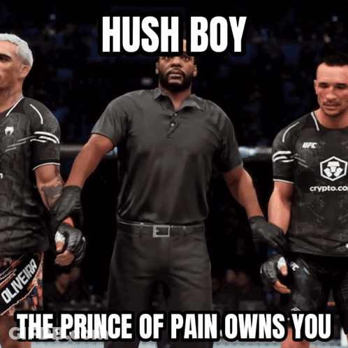 Hush Boy The Prince Of Pain Owns You Written On A Video Game Screen GIF