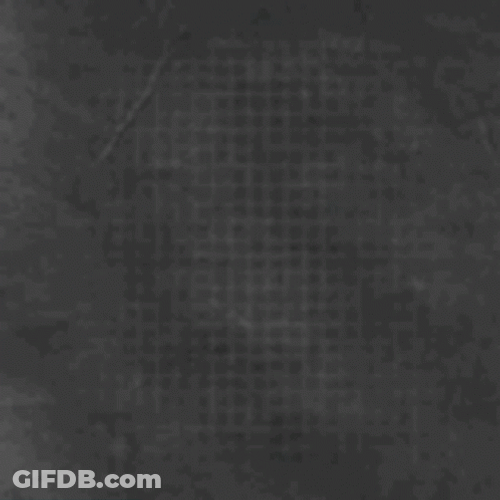 Huskers Sack Back GIF