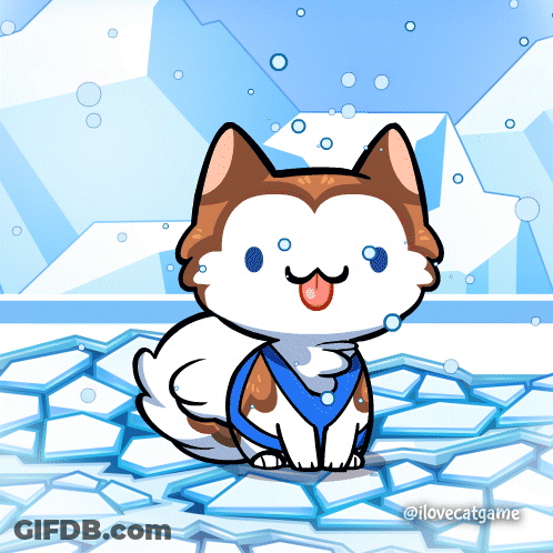Husky Dog Sitting On Ice With Bubbles GIF