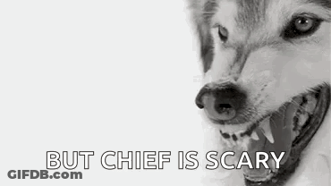 Husky Dog With Open Mouth But Chief Is Scary GIF