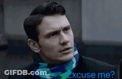 Husky Getting Haircut By Person In Schwarzkopf Cape GIF