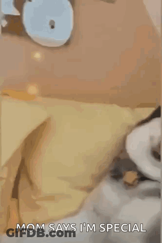 Husky Laying On Couch Making Funny Face GIF